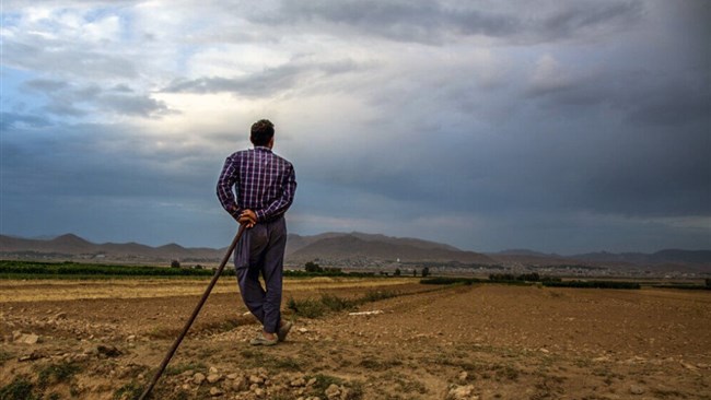 میانگین دمای کشور در ۳۰ سال اخیر ۲.۷ درجه بیشتر شده است. امنیت غذایی و تولید کشاورزی به دلیل تاثیرات افزایش دما و مشکلات ساختاری در خطر است.